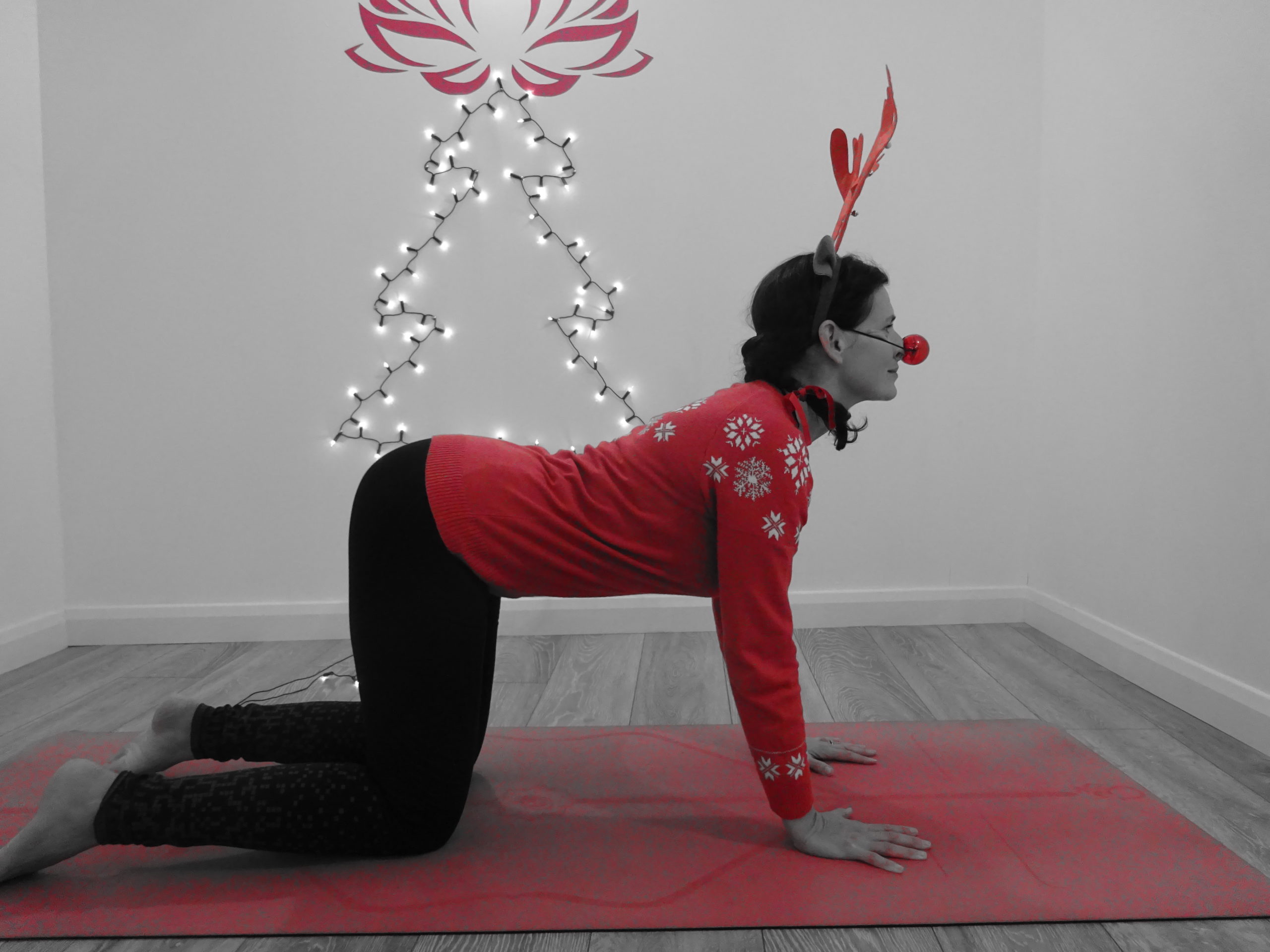 Rosieglo Yoga Advent Day 1 – Cat/Cow