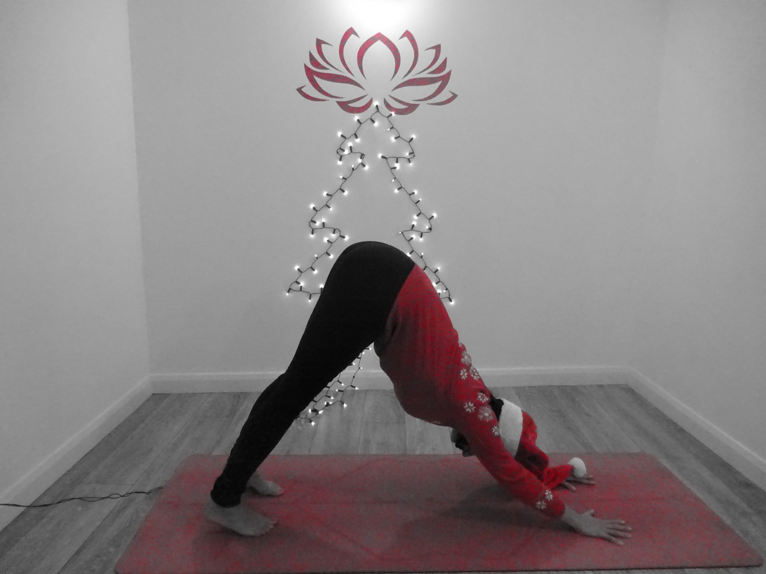 Rosieglo Yoga Advent Day 2 – Downward Dog